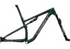 Specialized EPIC SW FRMSET S GREEN TINT CARBON/CHROME