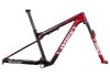 Specialized EPIC WC SW FRMSET S REDTNT/FLKSIL/GRNT