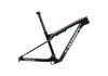 Specialized EPIC WC SW FRM L CARBON/RED PEARL/CHAMELEON