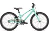 Specialized JETT 20 SS INT 20 OASIS/FOREST GREEN