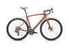 Specialized ROUBAIX EXPERT 49 COPPER/SMOKE