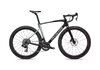 Specialized ROUBAIX PRO 56 CARBON/SHADOW SILVER