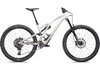 Specialized SJ EVO EXPERT S6 BIRCH/TAUPE