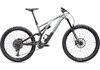 Specialized SJ EVO ELITE ALLOY S2 SILVER DUST/BLACK TINT CARBON