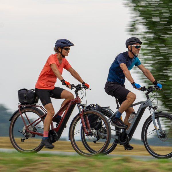 Körbe - Kaufen Sie Fahrräder,E-Bikes und Fahrradzubehör bequem online